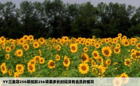 YY三皇冠250级挂到256级要多长时间没有会员的情况