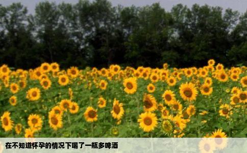 在不知道怀孕的情况下喝了一瓶多啤酒