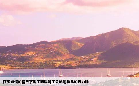 在不知情的情况下喝了酒喝醉了会影响胎儿的智力吗