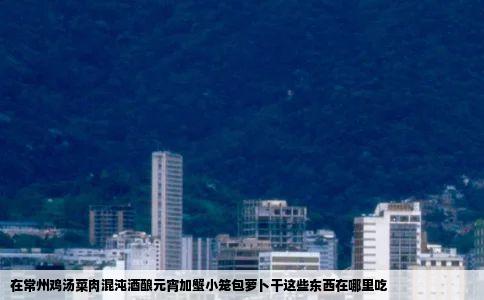 在常州鸡汤菜肉混沌酒酿元宵加蟹小笼包萝卜干这些东西在哪里吃