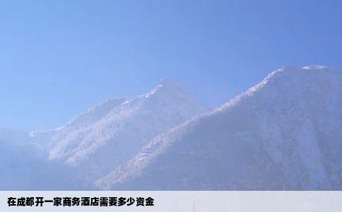 在成都开一家商务酒店需要多少资金