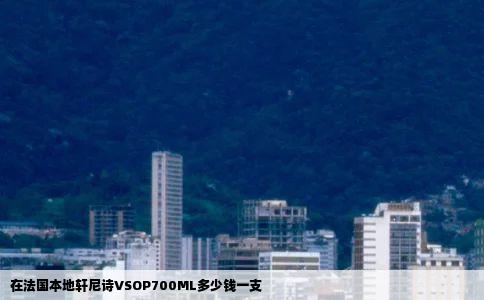 在法国本地轩尼诗VSOP700ML多少钱一支