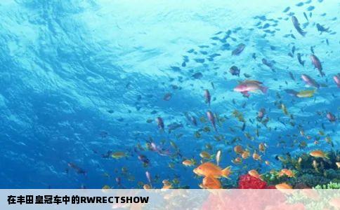 在丰田皇冠车中的RWRECTSHOW