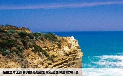 在给鱼片上浆的时候是应该加水还是加啤酒呢为什么