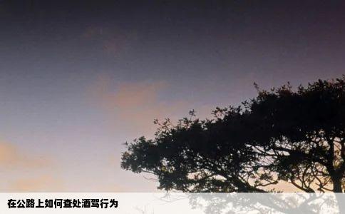 在公路上如何查处酒驾行为