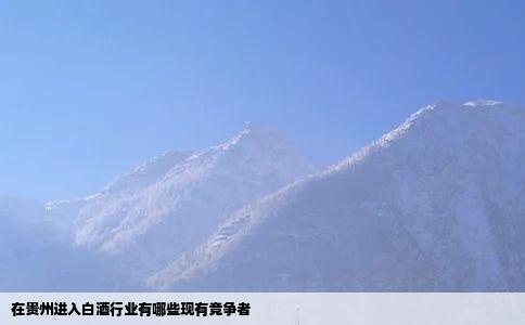 在贵州进入白酒行业有哪些现有竞争者
