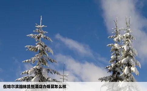 在哈尔滨翰林凯悦酒店办婚宴怎么样