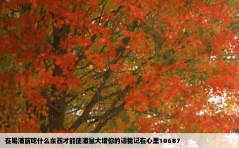 在喝酒前吃什么东西才能使酒量大增你的话我记在心里10687