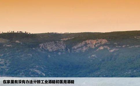 在家里有没有办法分辨工业酒精和医用酒精