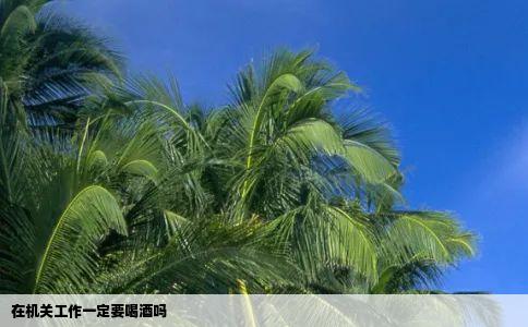 在机关工作一定要喝酒吗