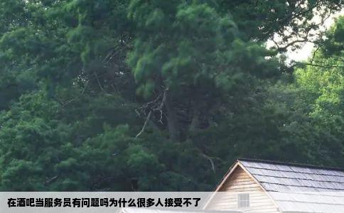 在酒吧当服务员有问题吗为什么很多人接受不了