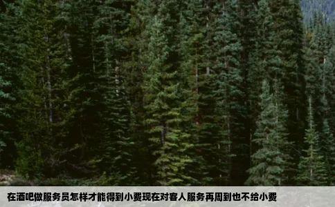 在酒吧做服务员怎样才能得到小费现在对客人服务再周到也不给小费