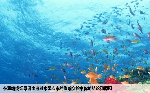 在酒精或烟草浸出液对水蚤心率的影响实验中你的结论和原因