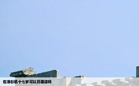 在洛杉矶十七岁可以开酒店吗