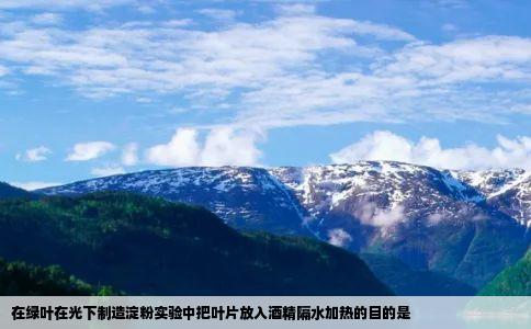 在绿叶在光下制造淀粉实验中把叶片放入酒精隔水加热的目的是