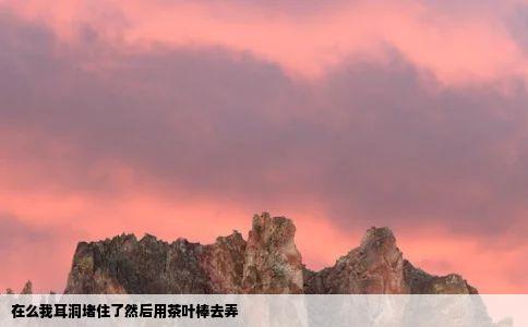 在么我耳洞堵住了然后用茶叶棒去弄