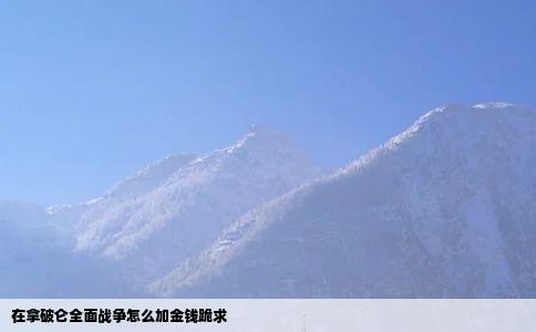 在拿破仑全面战争怎么加金钱跪求