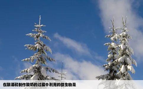 在酿酒和制作酸奶的过程中利用的微生物是