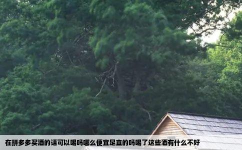 在拼多多买酒的话可以喝吗哪么便宜足直的吗喝了这些酒有什么不好