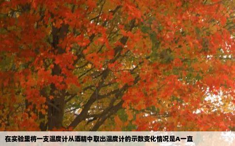 在实验里将一支温度计从酒精中取出温度计的示数变化情况是A一直