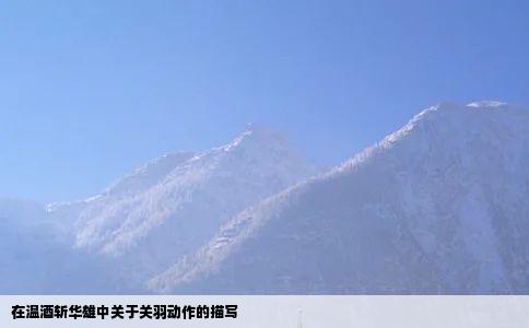 在温酒斩华雄中关于关羽动作的描写