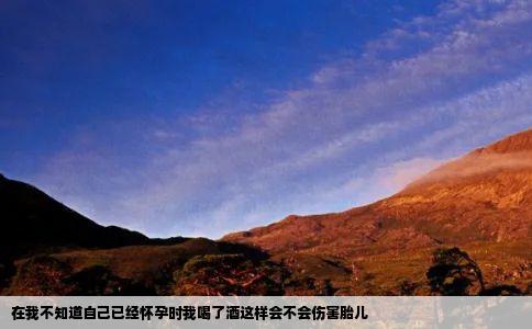 在我不知道自己已经怀孕时我喝了酒这样会不会伤害胎儿