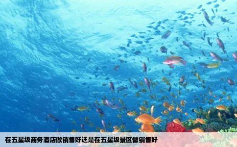 在五星级商务酒店做销售好还是在五星级景区做销售好