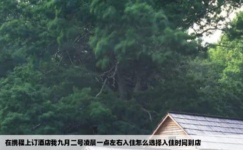 在携程上订酒店我九月二号凌晨一点左右入住怎么选择入住时间到店