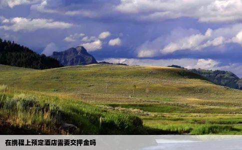 在携程上预定酒店需要交押金吗
