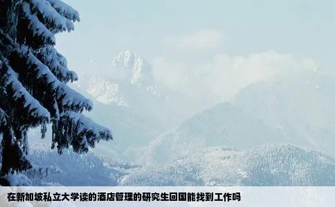 在新加坡私立大学读的酒店管理的研究生回国能找到工作吗