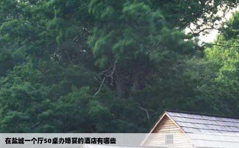 在盐城一个厅50桌办婚宴的酒店有哪些