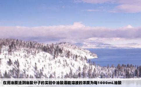 在用油膜法测油酸分子的实验中油酸酒精溶液的浓度为每1000mL油酸