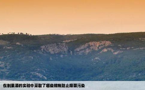在制果酒的实验中采取了哪些措施防止细菌污染