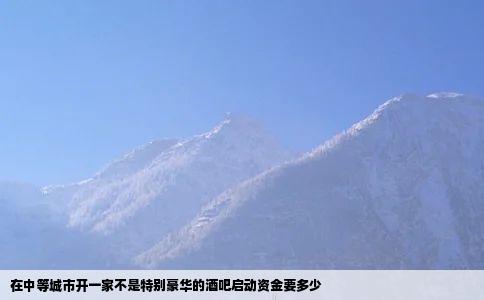 在中等城市开一家不是特别豪华的酒吧启动资金要多少