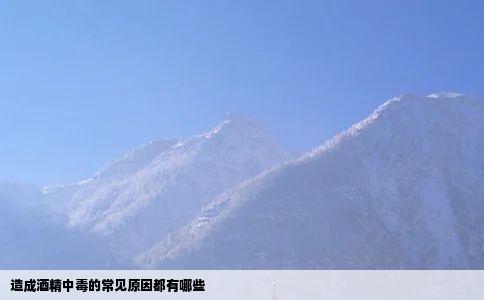 造成酒精中毒的常见原因都有哪些