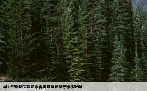 早上空腹喝完淡盐水再喝玫瑰花茶柠檬水好吗