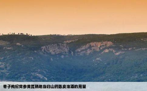 枣子枸杞党参黄芪熟地当归山药陈皮泡酒的用量