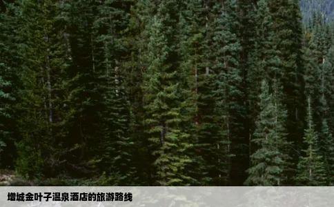 增城金叶子温泉酒店的旅游路线