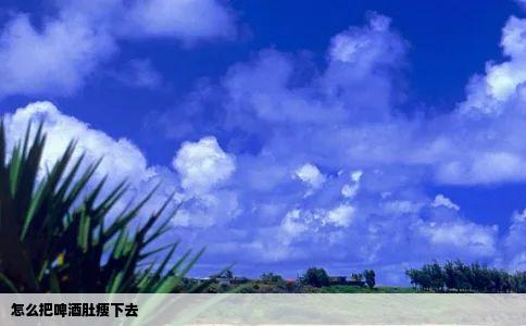 怎么把啤酒肚瘦下去