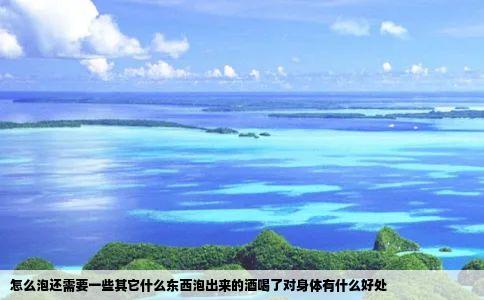 怎么泡还需要一些其它什么东西泡出来的酒喝了对身体有什么好处