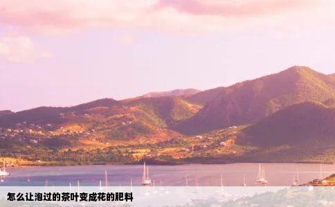怎么让泡过的茶叶变成花的肥料