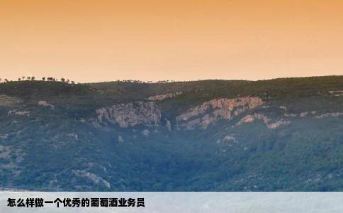 怎么样做一个优秀的葡萄酒业务员