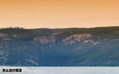 怎么应付喝酒