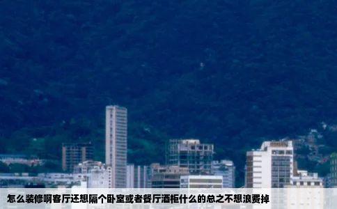 怎么装修啊客厅还想隔个卧室或者餐厅酒柜什么的总之不想浪费掉