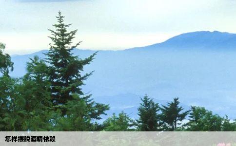 怎样摆脱酒精依赖