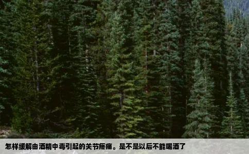 怎样缓解由酒精中毒引起的关节疼痛。是不是以后不能喝酒了