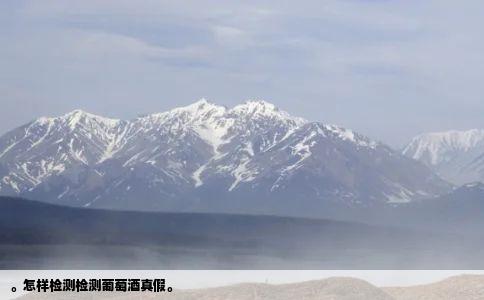 怎样检测检测葡萄酒真假