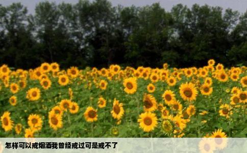 怎样可以戒烟酒我曾经戒过可是戒不了