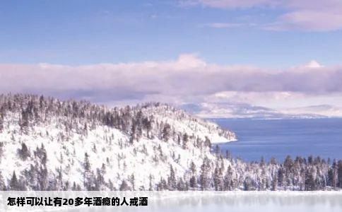 怎样可以让有20多年酒瘾的人戒酒