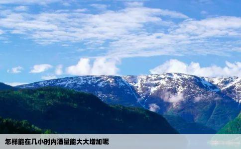 怎样能在几小时内酒量能大大增加呢